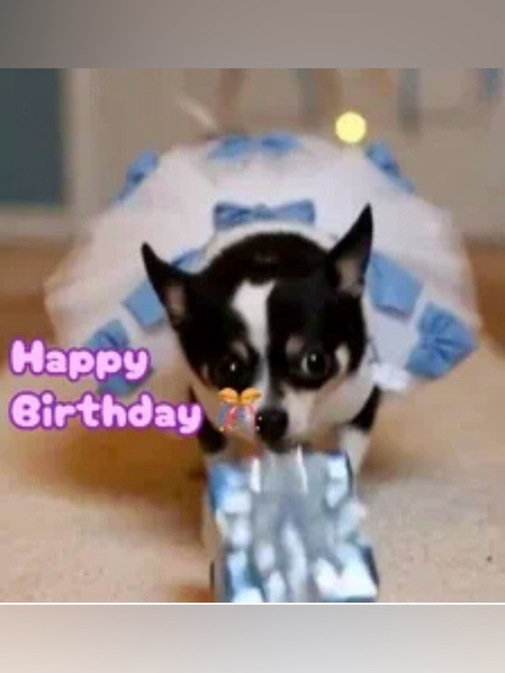 🎂Reserved for our Kristi on her Birthday🎁